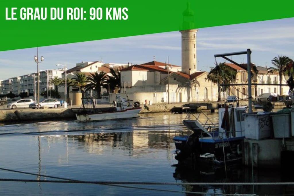 Le Figuier - Clim - Wifi Διαμέρισμα Villeneuve-lès-Avignon Εξωτερικό φωτογραφία